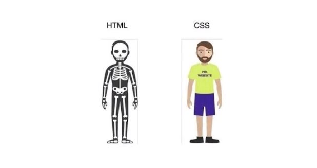 En la imagen un ejemplo para diferenciar HTML y CSS, HTML es el esqueleto de una persona y CSS es es la persona con más características.